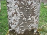 image of grave number 605507